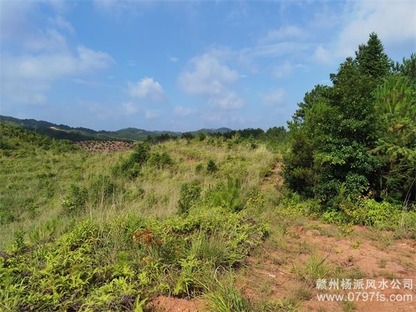 门头沟区带着徒弟上山学杨公风水现场操作