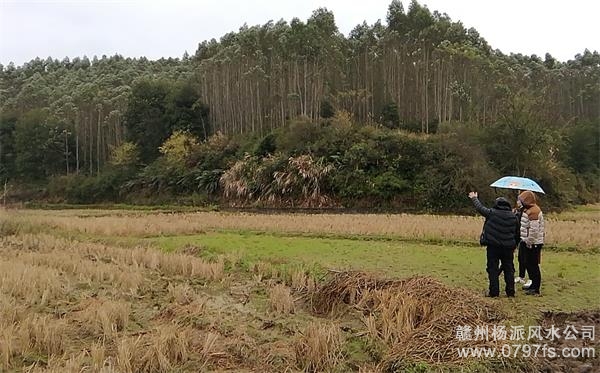 门头沟区陈老师带着爱徒寻龙点穴