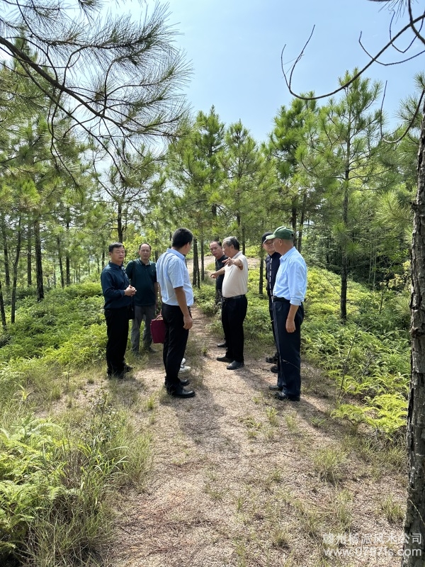 门头沟区学杨公风水跟陈荣昌老师实在